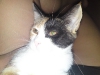 DSC01209