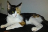 DSC01322_cr